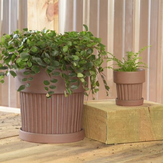 Dark Brown Terracotta "Basque" Planter Pot for Plants and Home Decor - Rustike Home