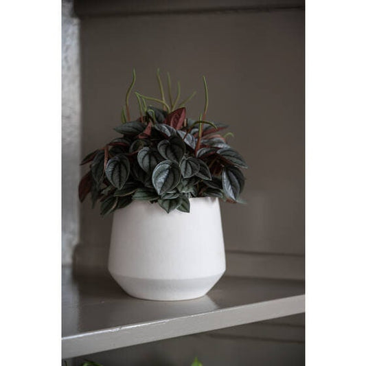 Round 4.33" White Planter Pot for Plants and Home Decor | Style 110 - Rustike Home