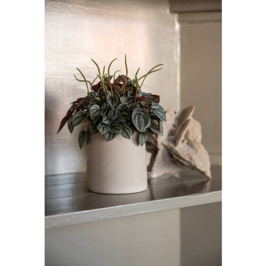 Round 5.91"H Beige Planter Pot for Plants and Home Decor | Style 111 - Rustike Home