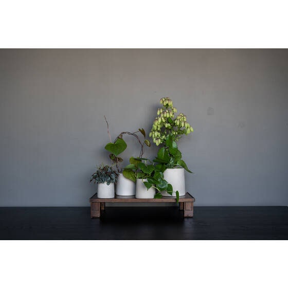 Round 5.91"H Beige Planter Pot for Plants and Home Decor | Style 111 - Rustike Home