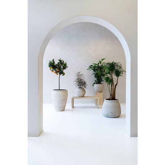 Round Rough Chalk White "California" Vintage Planter Pot for Plants and Home Decor | Style 128 - Rustike Home