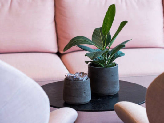 Round Rough 6.5" Height Black Washed Planter Pot for Plants and Home Decor | Style 105 - Rustike Home