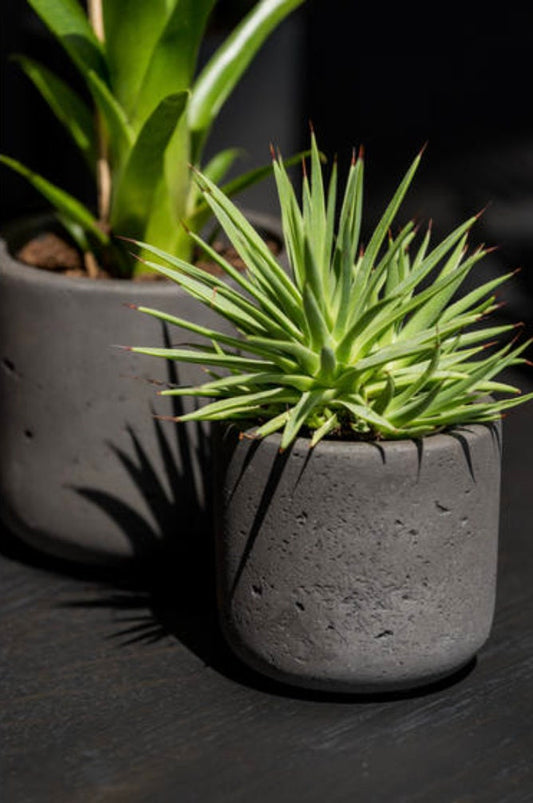 Round Rough Black Washed Planter Pot for Plants and Home Decor | Style 104 - Rustike Home