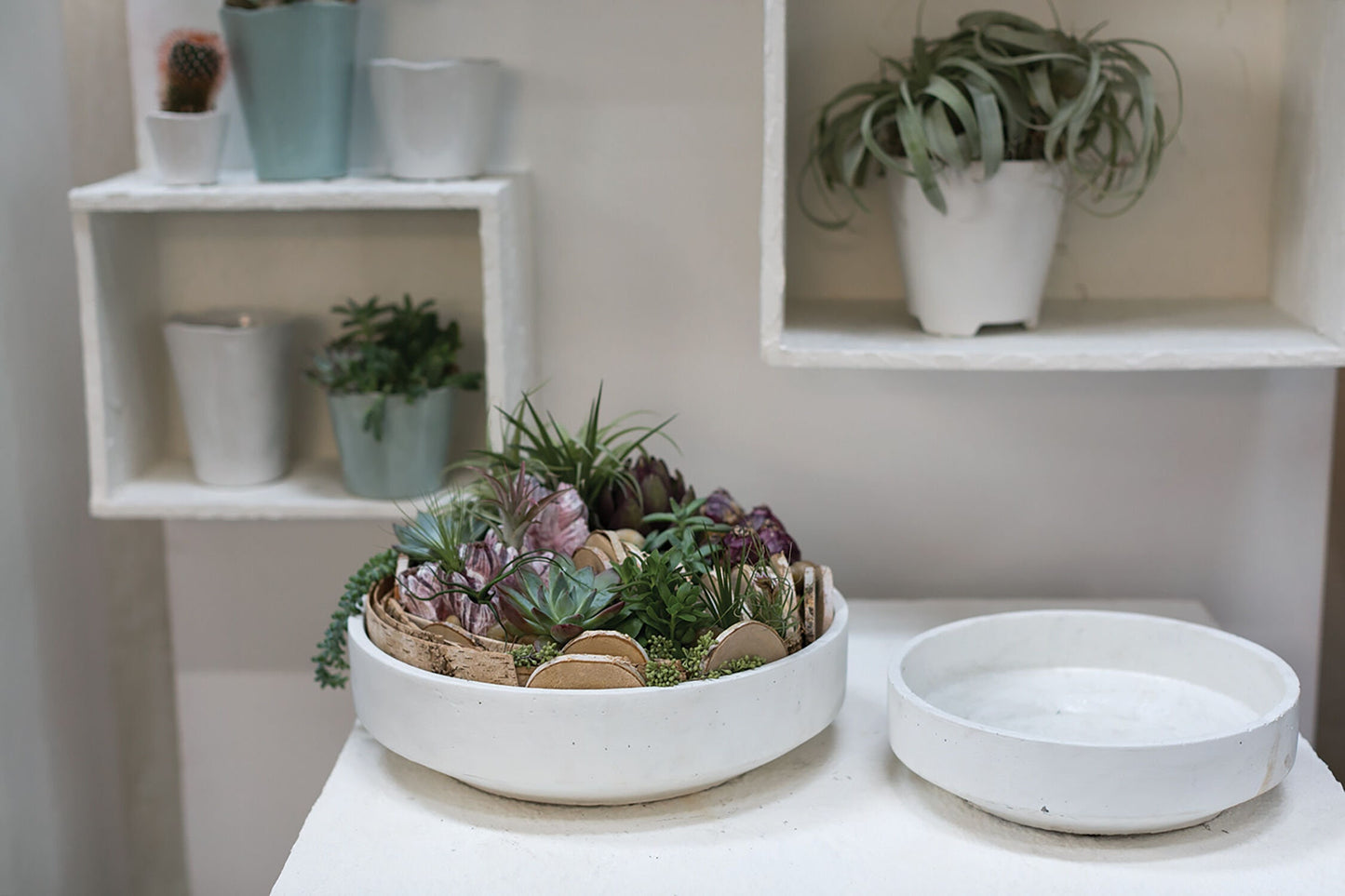 Round Rough White Bowl Planter Pot for Plants and Home Decor | Style 149 - Rustike Home