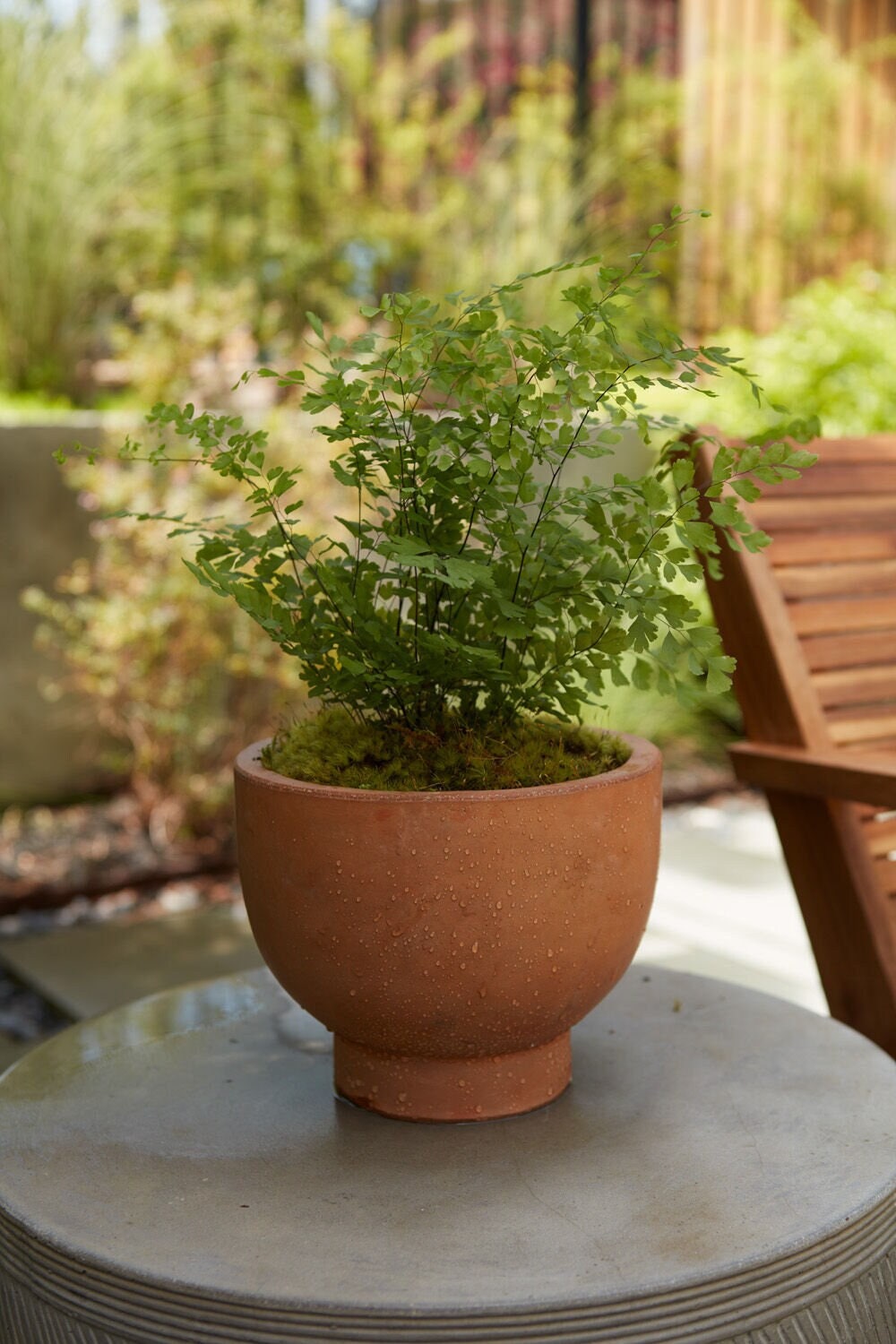 footed plant pot Round Terracotta Footed Planter Pot Compote for Plants and Home Decor