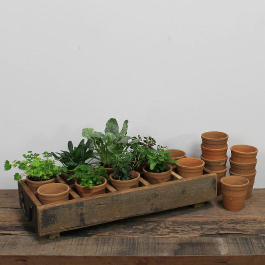 Rustic Wood Caddy Tray with Round Terracotta Orange Pots | Planter Pot for Plants and Home Decor - Rustike Home
