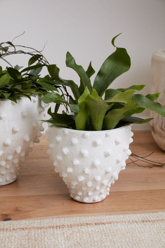 Round Ceramic "Dots" White Vas Pot for Plants and Home Decor - Rustike Home