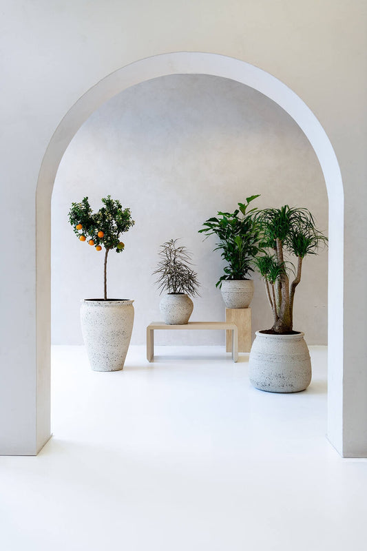 Round Rough Chalk White "Agua" Vintage Planter Pot for Plants and Home Decor - Rustike Home