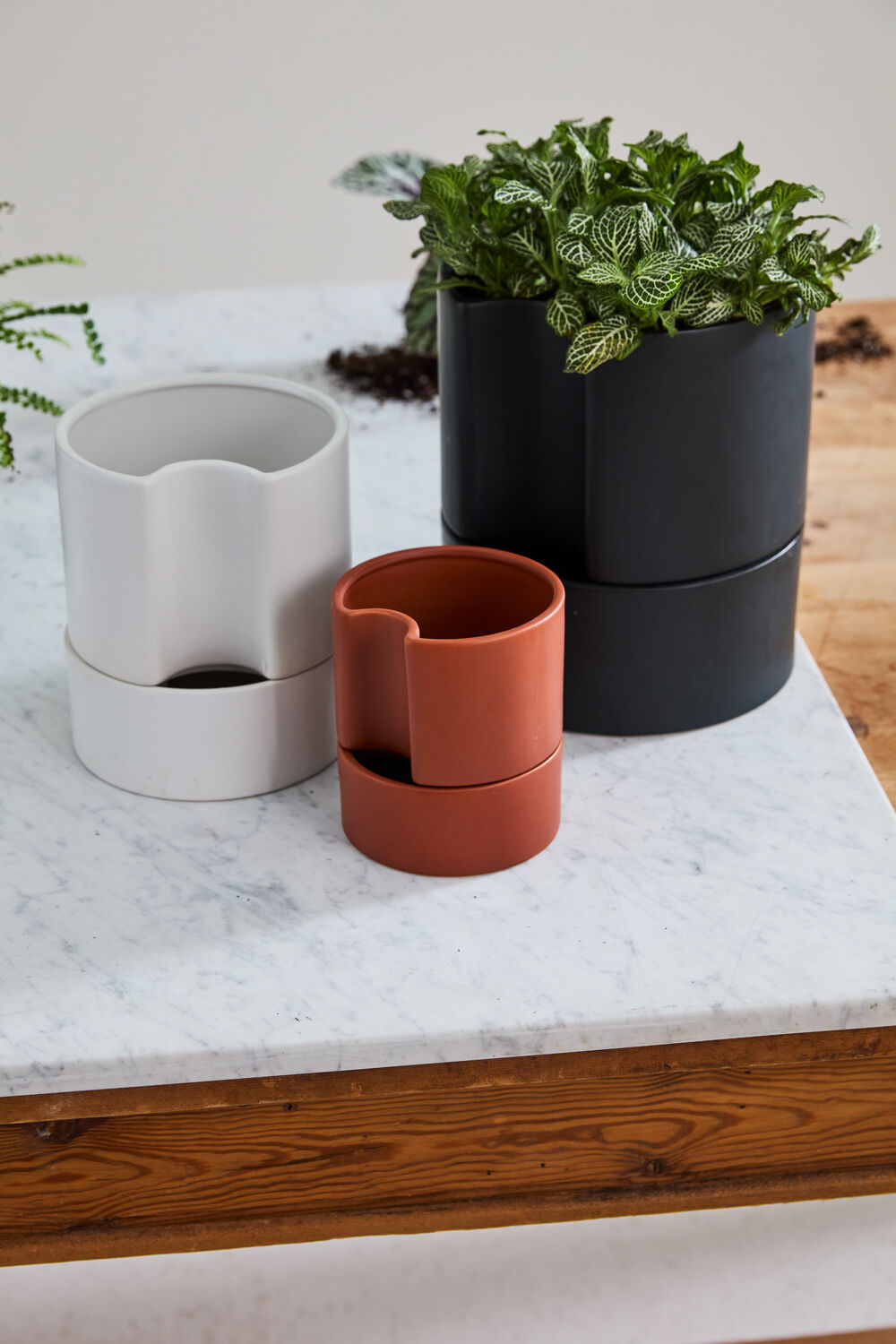 Jett Pot White, Black Planter Pot for Plants | Home Decor - Rustike Home