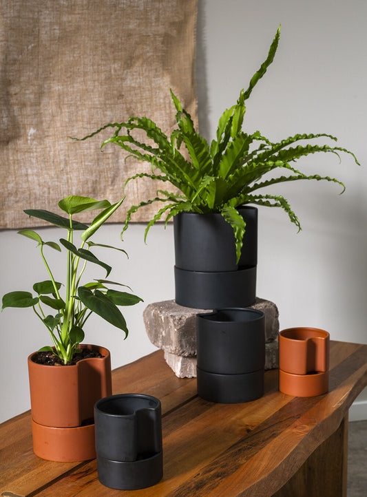 Jett Pot White, Black Planter Pot for Plants | Home Decor - Rustike Home