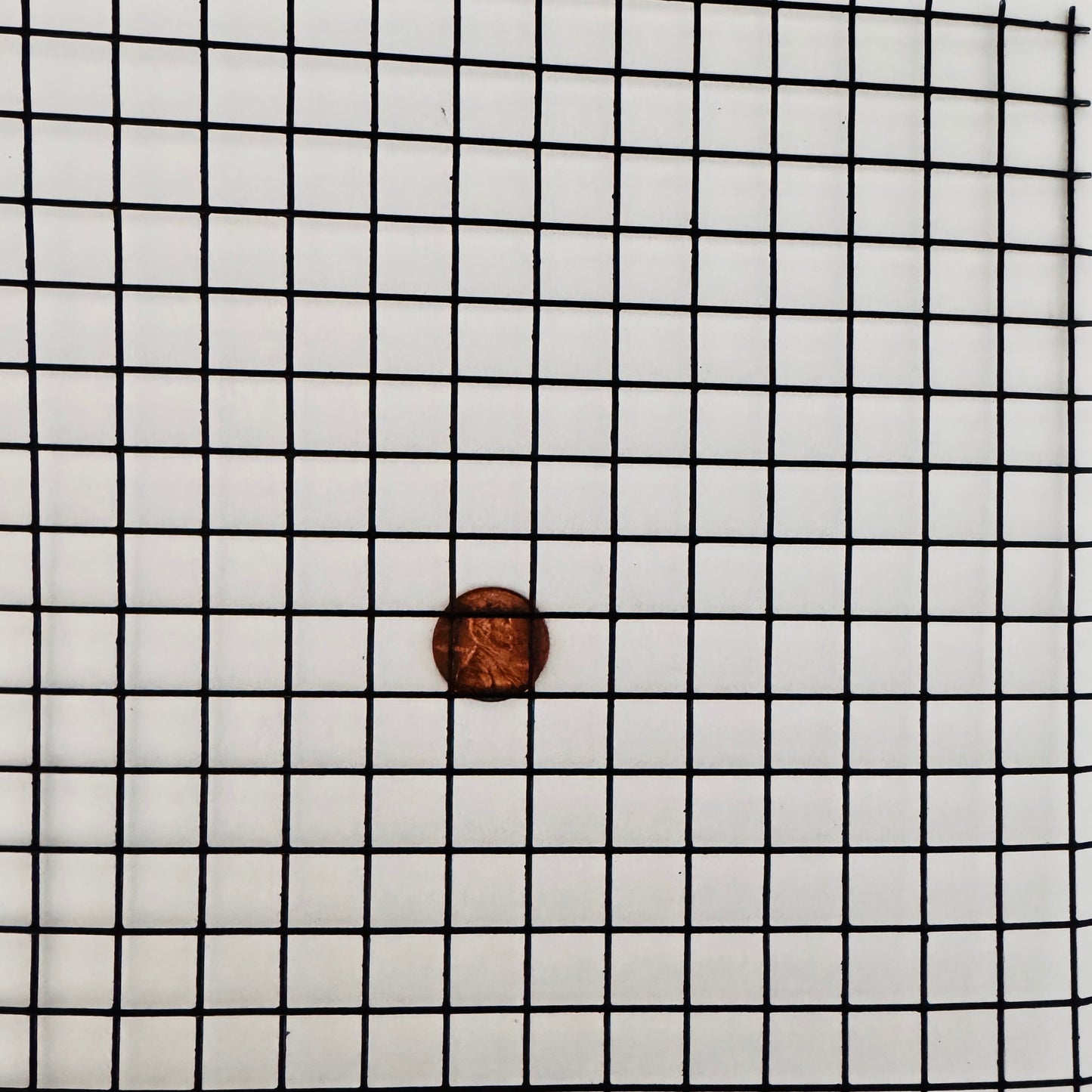 Square Black Wire 2" Wire Dia "Brantford" 19 Gauge Mesh - Rustike Home