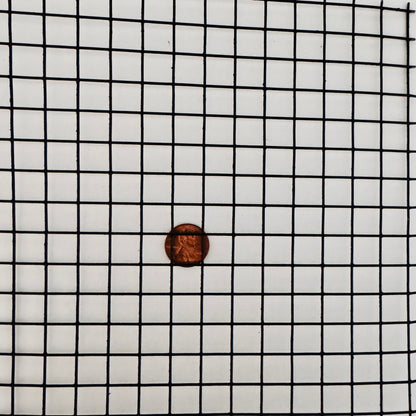 Square Black Wire 2" Wire Dia "Brantford" 19 Gauge Mesh - Rustike Home