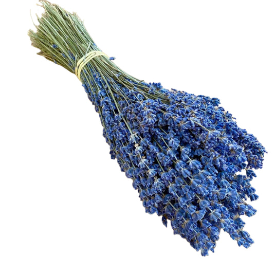 Dried Lavender | Decorative Dried Grass and Plants - Rustike Home