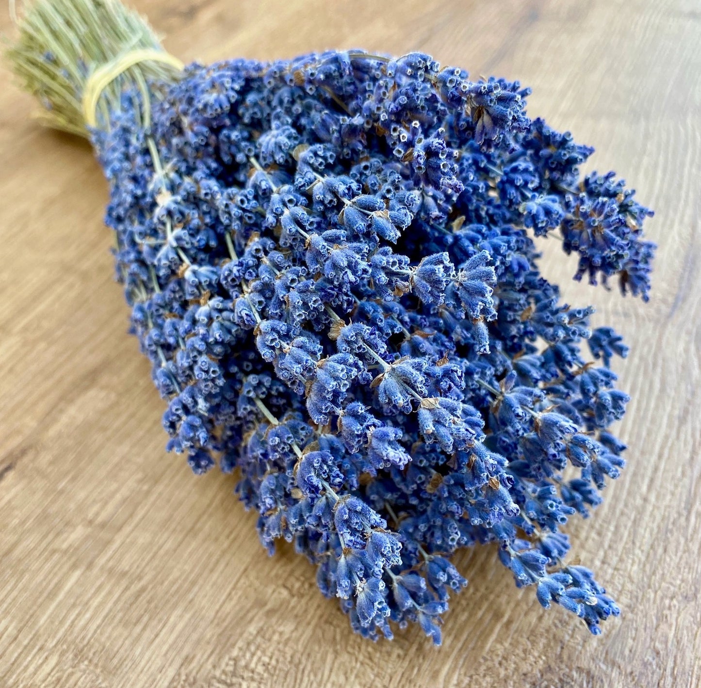 Dried Lavender | Decorative Dried Grass and Plants - Rustike Home