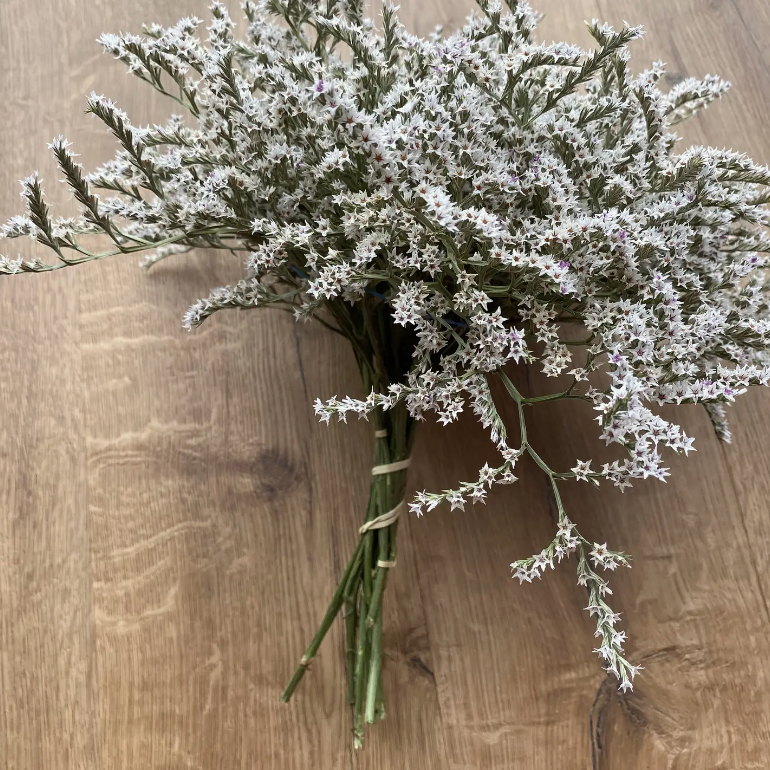 Dried German Statice | Decorative Dried Grass and Plants - Rustike Home