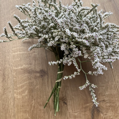 Dried German Statice | Decorative Dried Grass and Plants - Rustike Home
