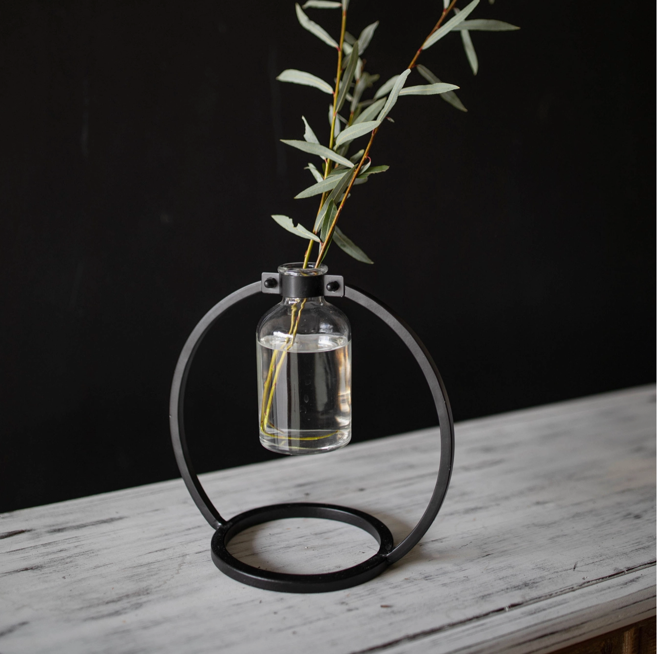 Capstone Floating Glass Bud Vase Brass & Black Finish Metal | Home Decor - Rustike Home