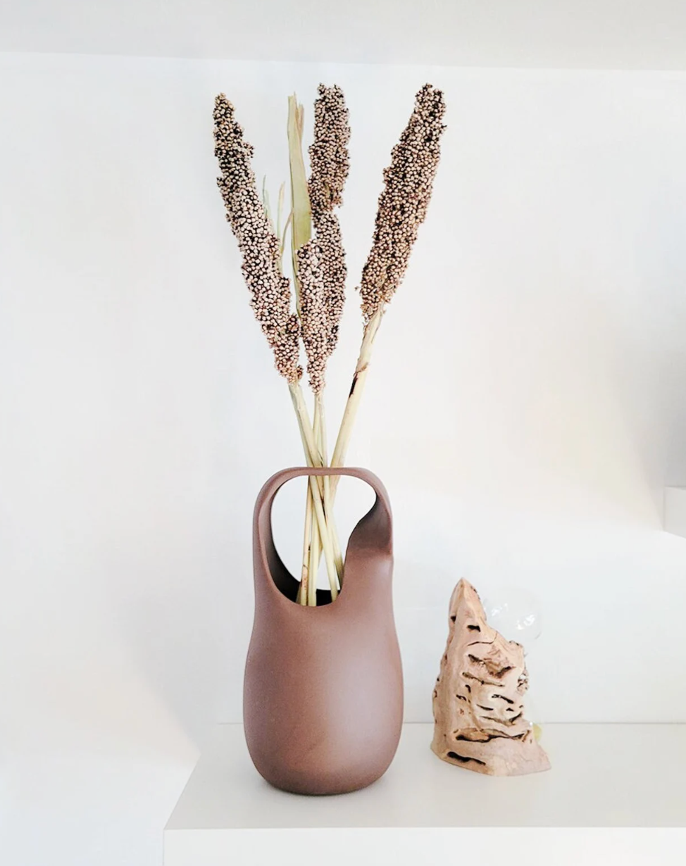 Dried Pinto Berries | Decorative Dried Grass and Plants - Rustike Home