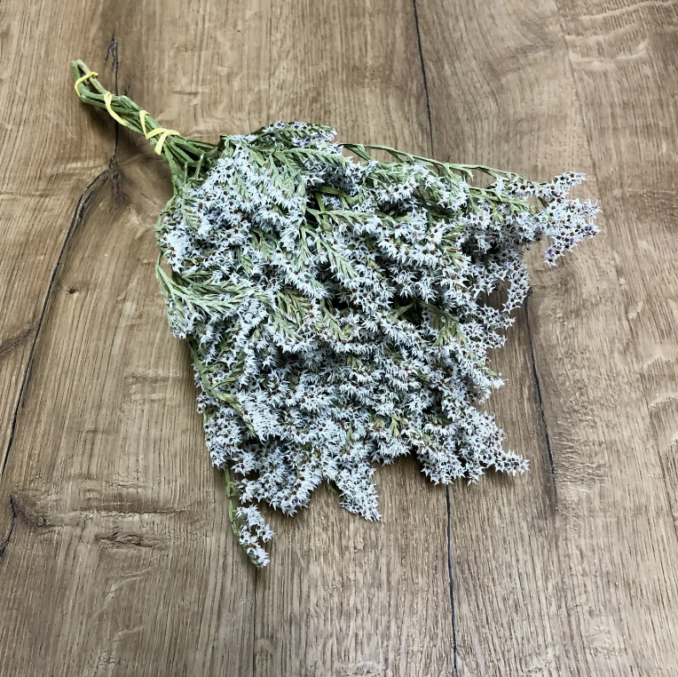 Dried German Statice | Decorative Dried Grass and Plants - Rustike Home