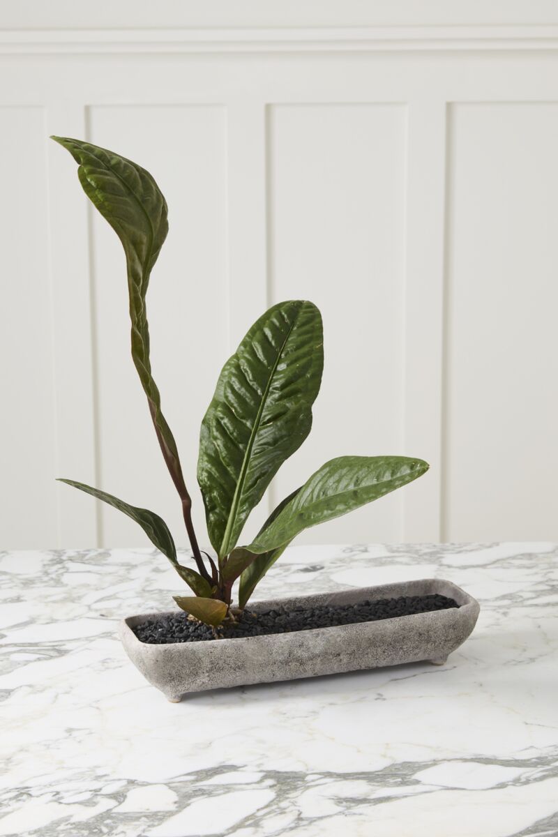 Ceramic Abby Shoal Through & Pot