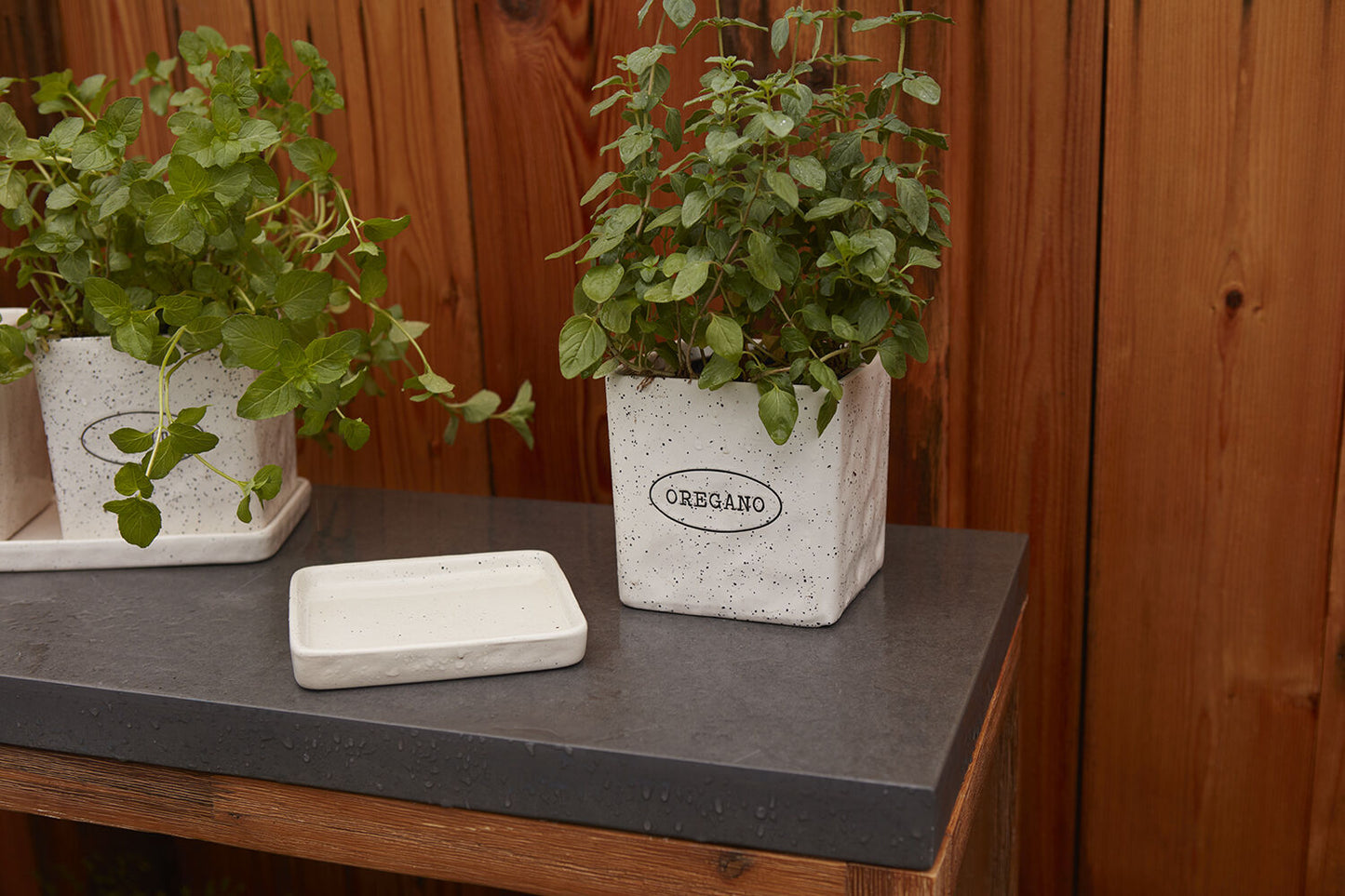 Off White Herb Pots "Aromas" Planter Pot Compote for Plants | Home Decor - Rustike Home
