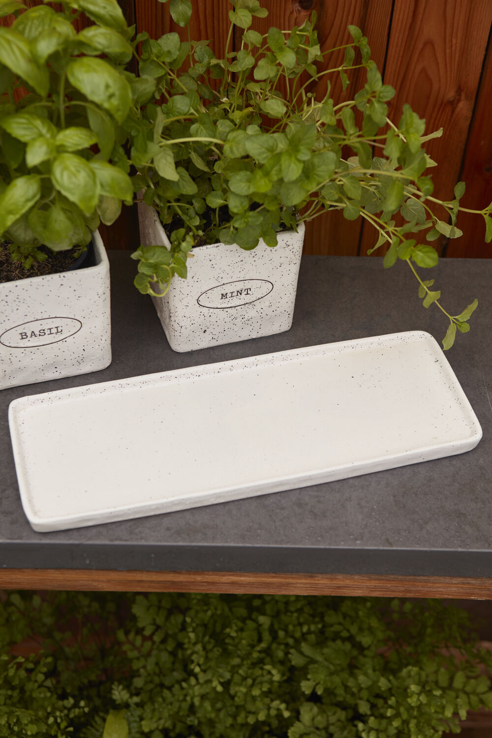 Off White Herb Pots "Aromas" Planter Pot Compote for Plants | Home Decor - Rustike Home