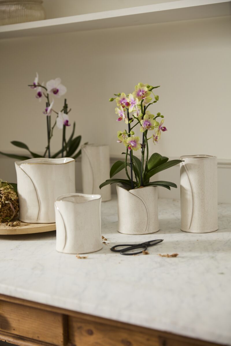 Round Off White "Diana" Vase & Pot| Home Decor - Rustike Home
