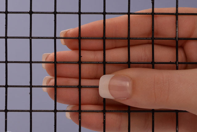Square Black Wire 2" Wire Dia "Brantford" 19 Gauge Mesh - Rustike Home