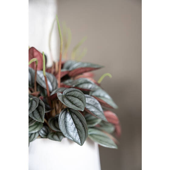 Round 4.33" White Planter Pot for Plants and Home Decor | Style 110 - Rustike Home
