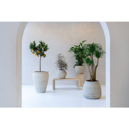 Round Rough Chalk White "California" Vintage Planter Pot for Plants and Home Decor | Style 126 - Rustike Home