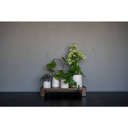 Round 5.91"H Beige Planter Pot for Plants and Home Decor | Style 111 - Rustike Home