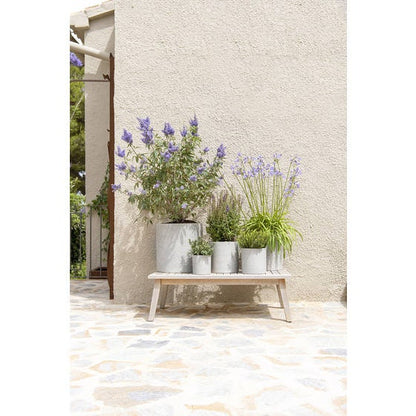 Round Rough Grey Planter 5.9" H Pot for Plants and Home Decor | Style 120 - Rustike Home