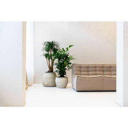 Round Rough Chalk White "California" Vintage Planter Pot for Plants and Home Decor | Style 126 - Rustike Home