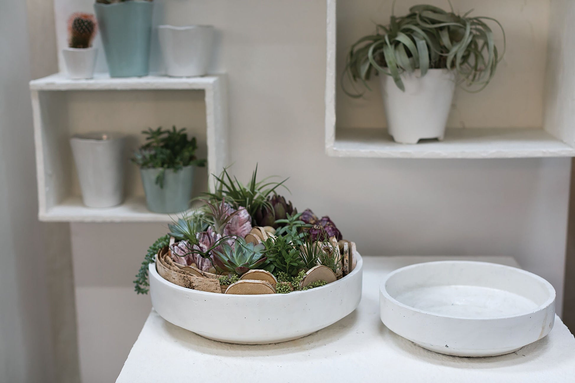 Round Rough White Bowl Planter Pot for Plants and Home Decor | Style 149 - Rustike Home