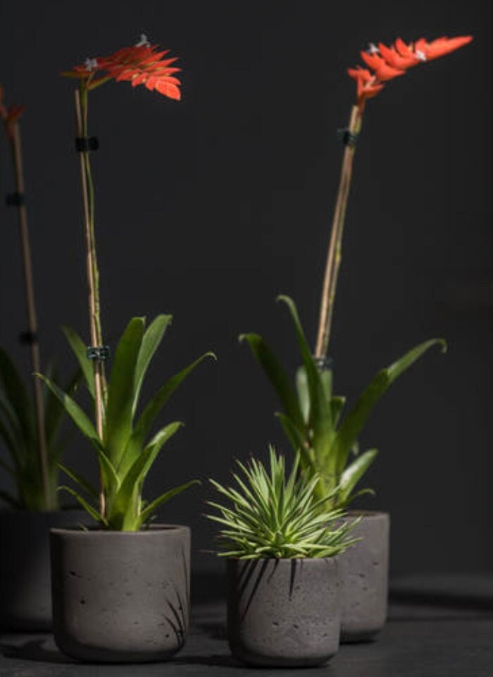 Round Rough Black Washed Planter Pot for Plants and Home Decor | Style 104 - Rustike Home