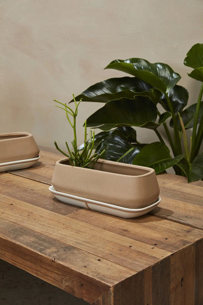 long plant pot tray Long Pot Saucer "Coco" Brown Planter Pot for Plants and Home Decor – Rustike Home
