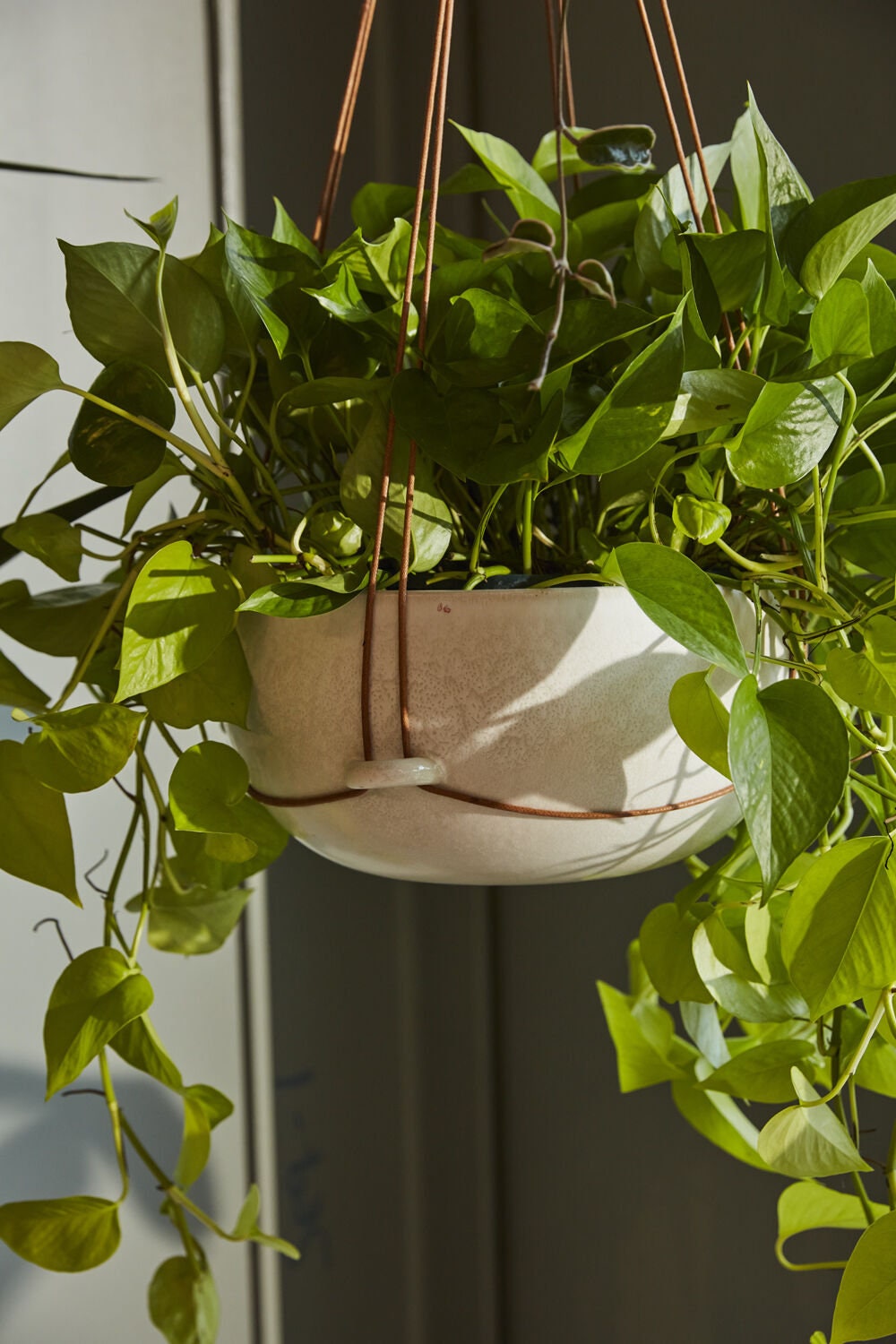 round hanging planter indoor Round Hanging Planter Monterey Pot with Rope for Plants MEDIUM