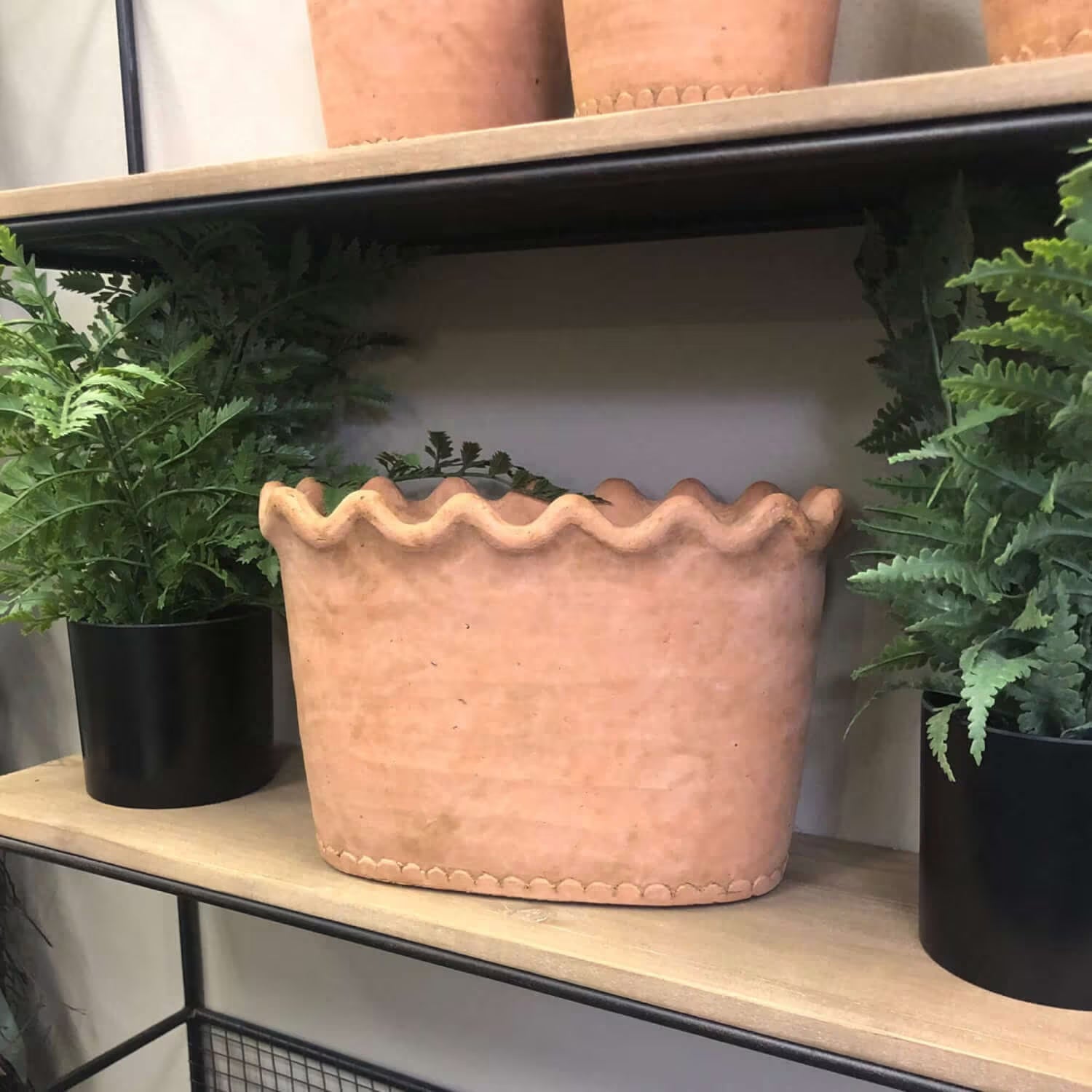 scalloped planter pot Scalloped Oval Celia Terracotta Planter Pot for Plants and Home Decor