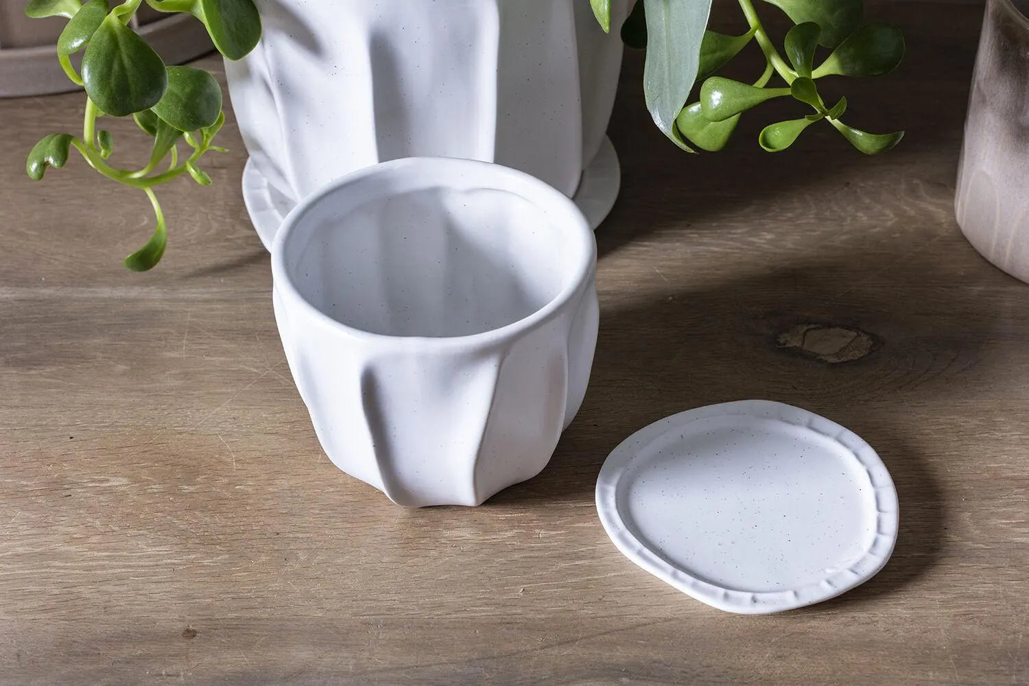 Round White Ruffles "Taylor" Planter Pot for Plants and Home Decor - Rustike Home