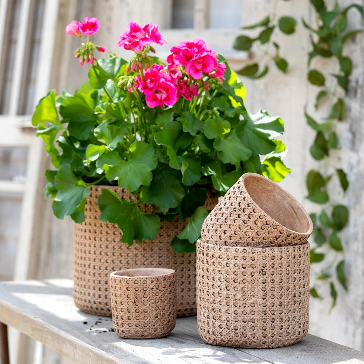 Round Cane Orange Terracotta "Carmel" Pot - Rustike Home