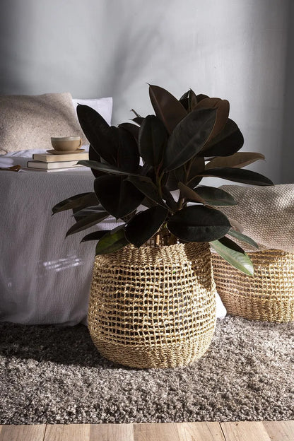 Set of 2 Modern "Lily" Natural Baskets | Plant Accessory and Home Decor - Rustike Home