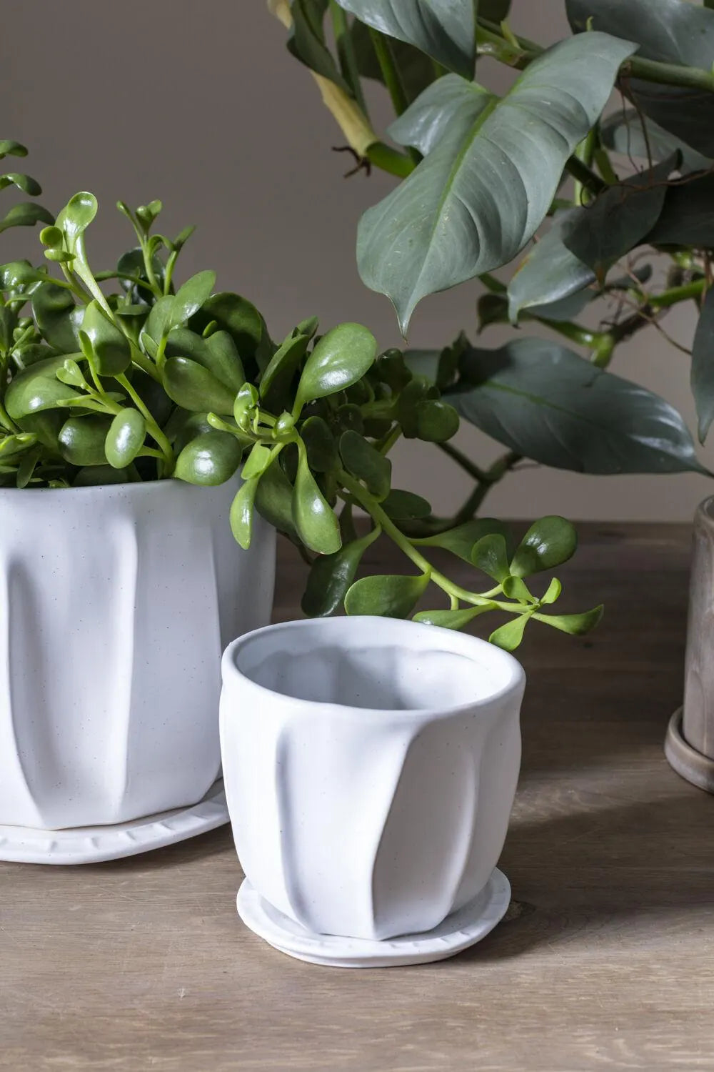 Round White Ruffles "Taylor" Planter Pot for Plants and Home Decor - Rustike Home