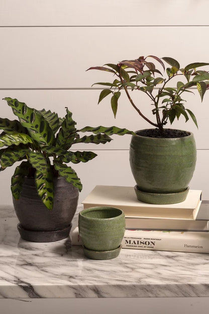 Round Green "Globe" Planter Pot with Saucer for Plants and Home Decor - Rustike Home