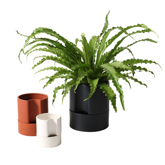 Jett Pot  White, Black Planter Pot for Plants | Home Decor - Rustike Home