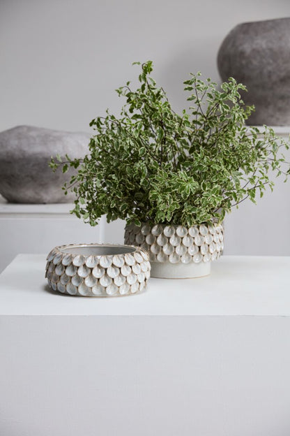 Circular Off-White Stoneware Petal Design Round Bowl